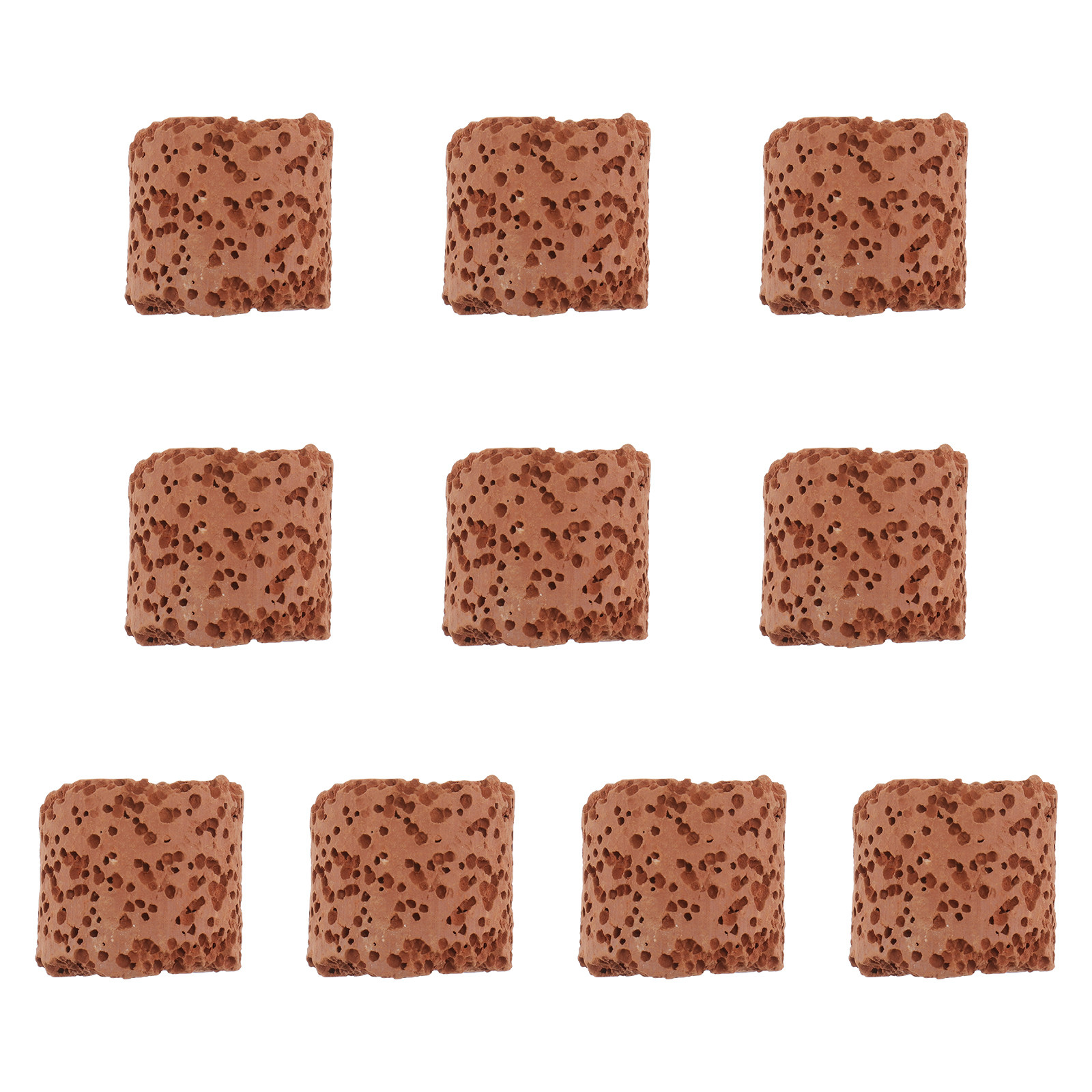 10 pièces, anneau de fixation  - Aquarium Plant Holder avis et prix