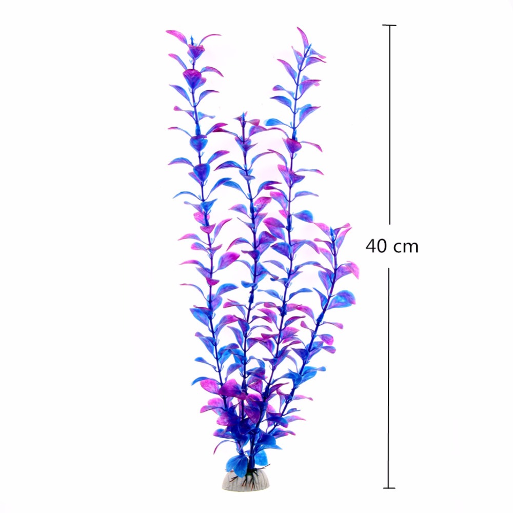 Accessoires d'aquarium, plante - Live Plant Aquarium avis et prix