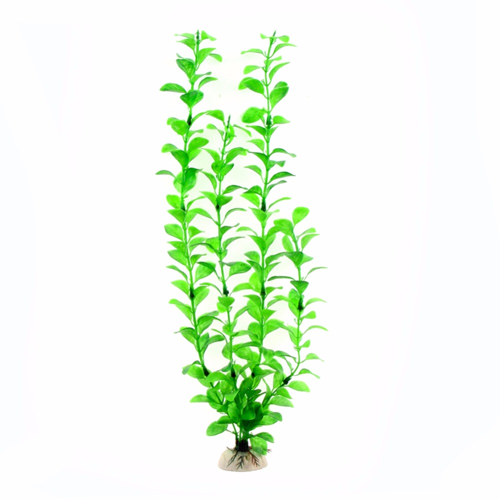 Accessoires d'aquarium, plante - Live Plant Aquarium avis et prix