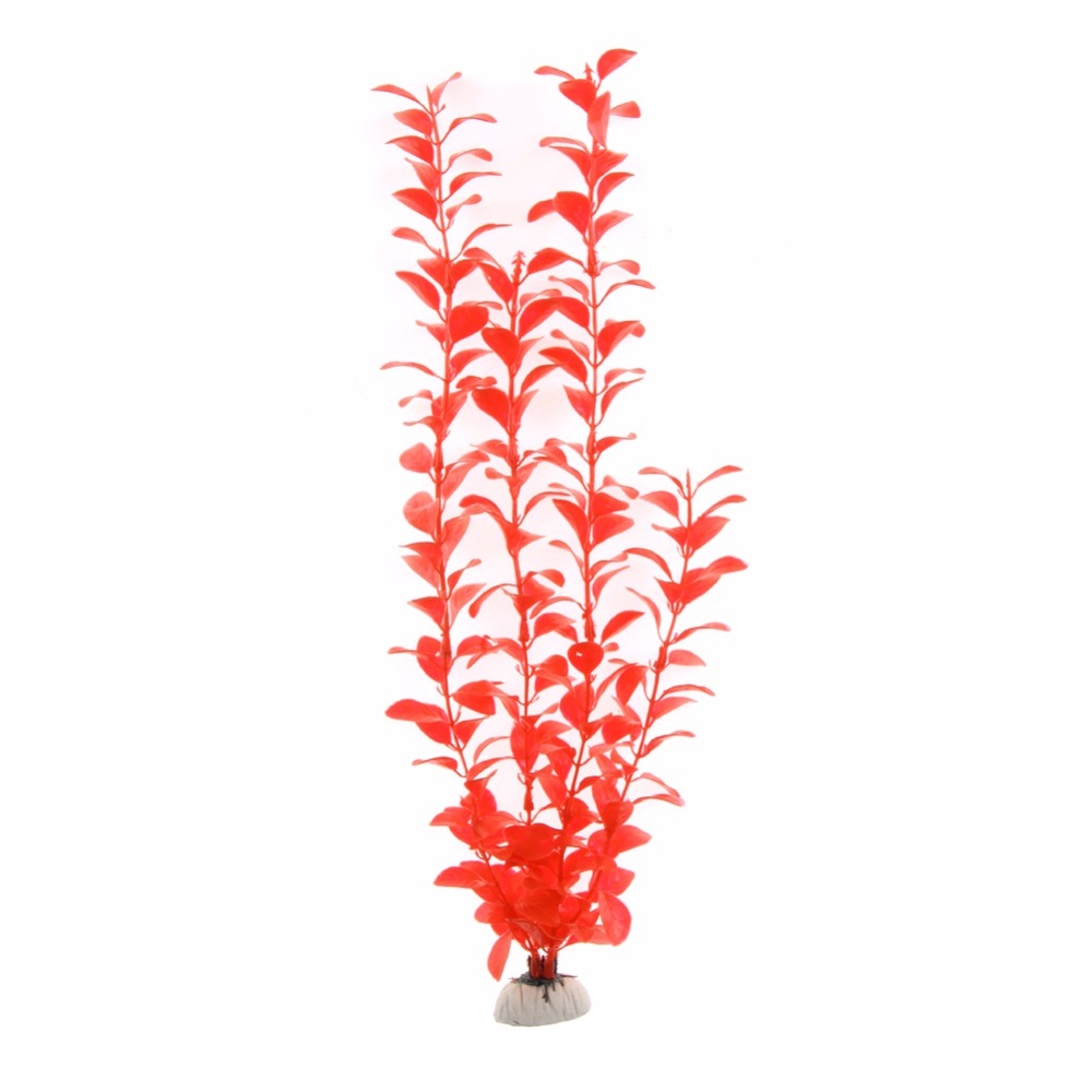 Accessoires d'aquarium, plante - Live Plant Aquarium avis et prix
