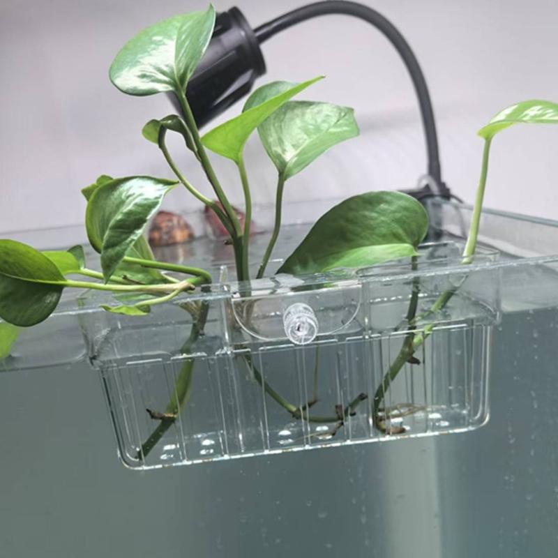 Panier hydroponique pour plant - Aquarium Plant Holder avis et prix