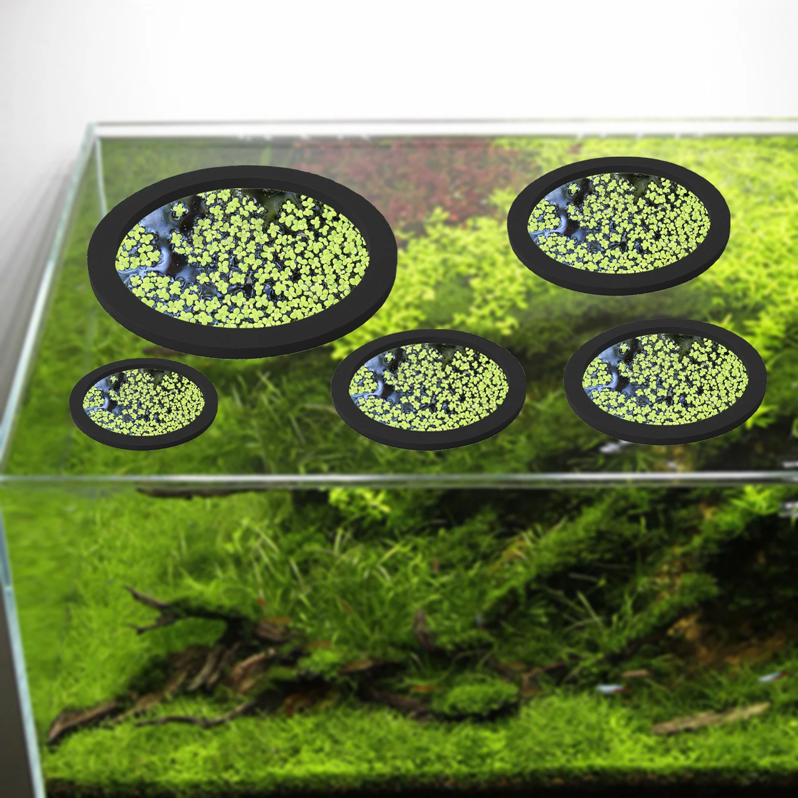 Anneaux d'Alimentation pour Aq - Planted Tank avis et prix