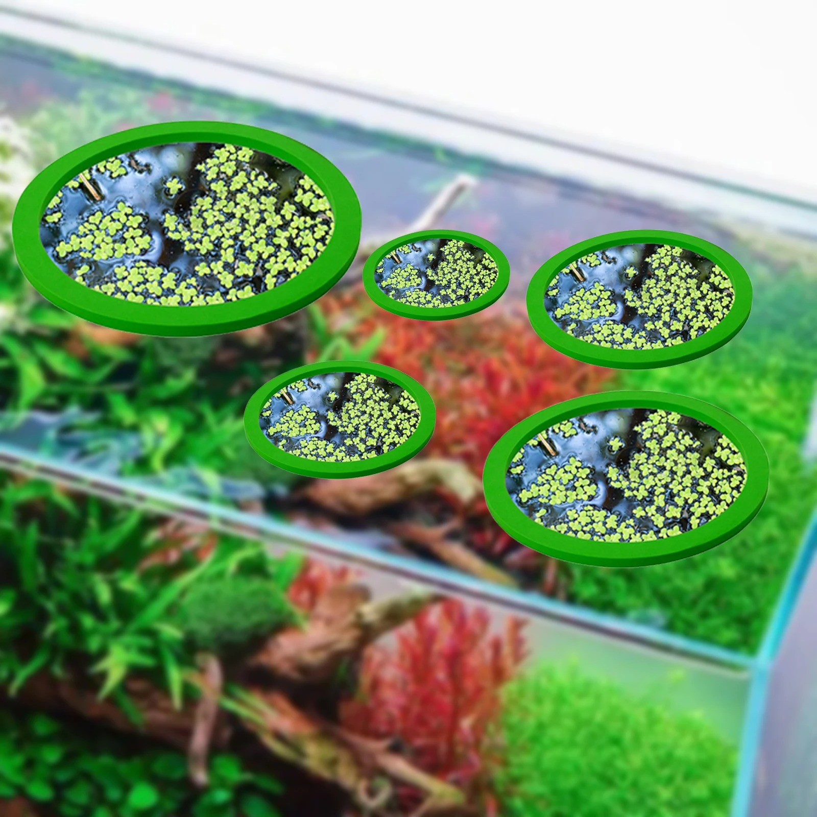 Anneaux d'Alimentation pour Aq - Planted Tank avis et prix
