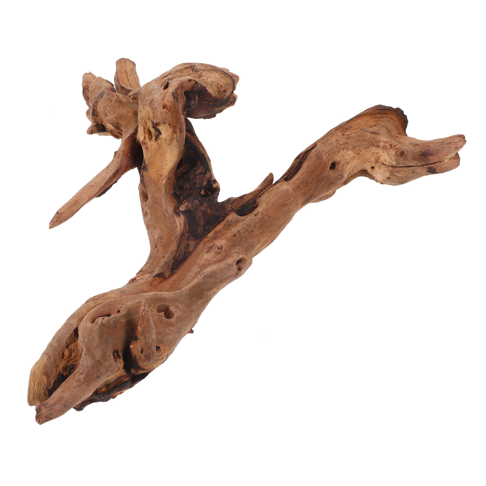 Décor en bois mort pour Aquari - Aquarium Driftwood avis et prix