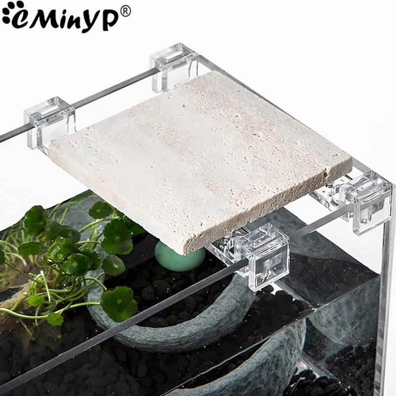 Clips acryliques pour Aquarium - Aquarium Plant Holder avis et prix