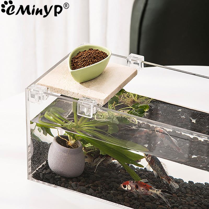 Clips acryliques pour Aquarium - Aquarium Plant Holder avis et prix