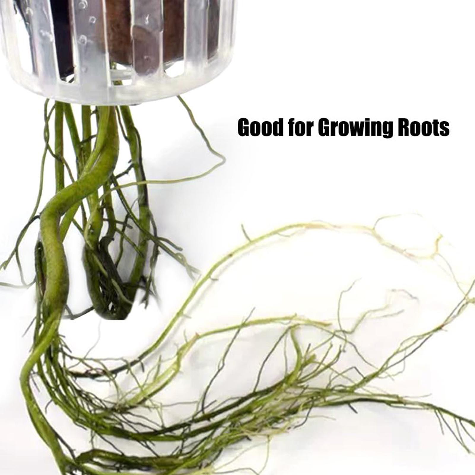 2 pièces, support pour plantes - Aquarium Plant Holder avis et prix