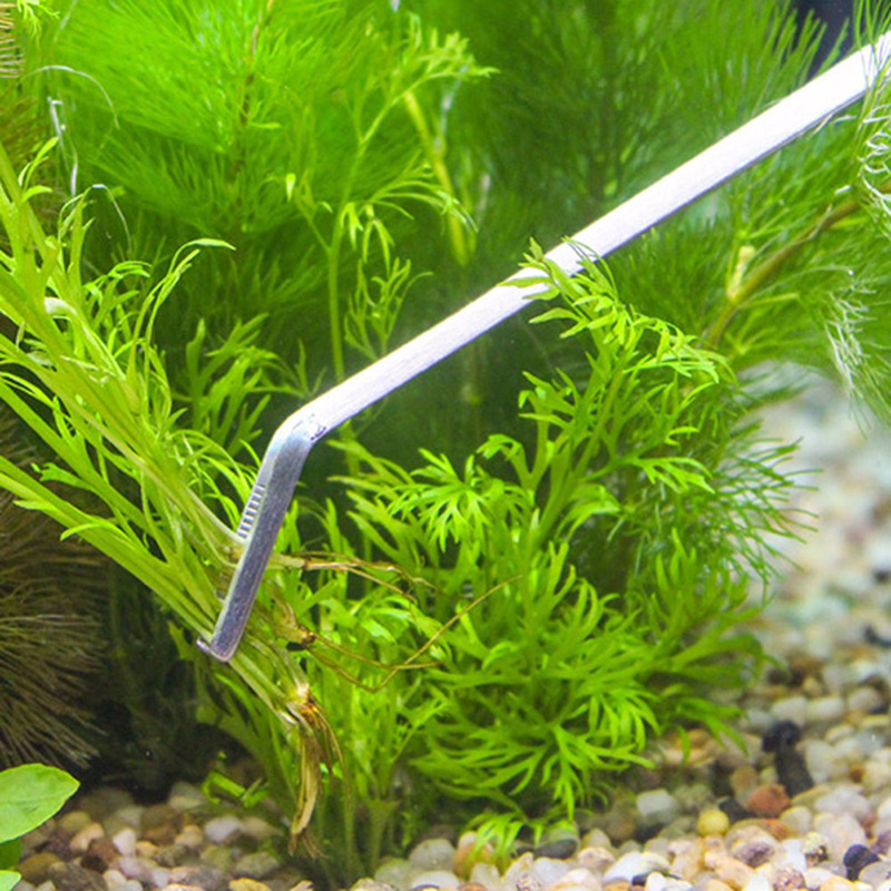 Kit d'outils professionnels po - Aquarium Plants Live avis et prix