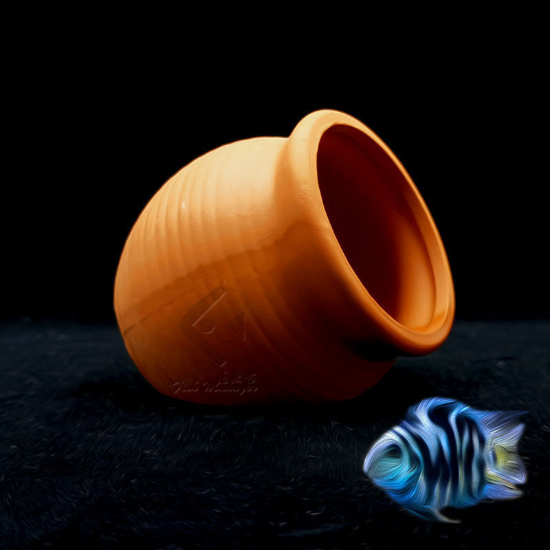 Aquarium Mini réservoir en cér - Aquarium Driftwood avis et prix