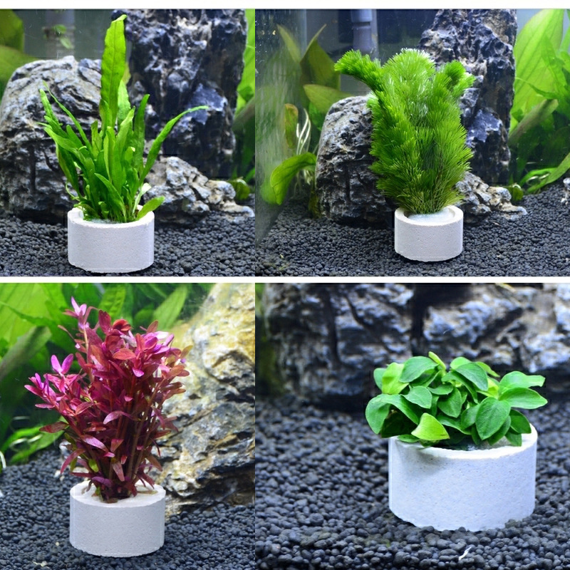 Anneau en céramique de décorat - Plant Aquarium Pot avis et prix