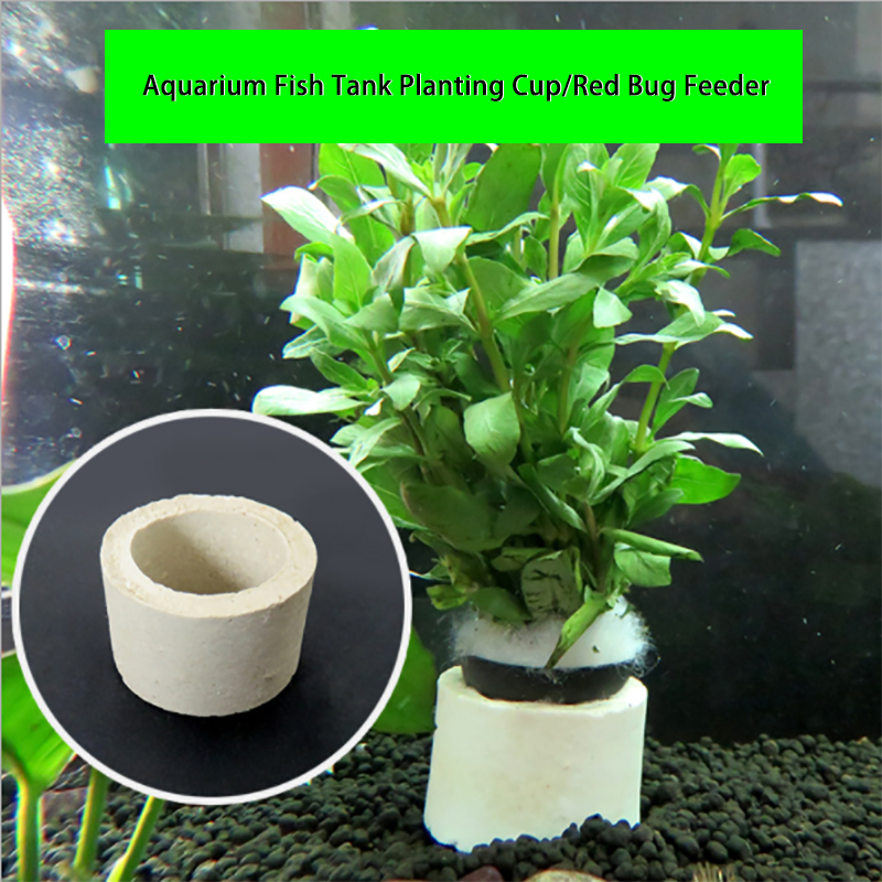 Anneau en céramique de décorat - Plant Aquarium Pot avis et prix