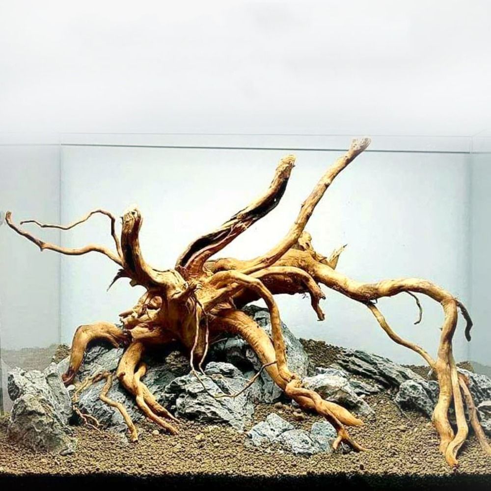 Bois flotté naturel de 20-25 c - Aquarium Driftwood avis et prix