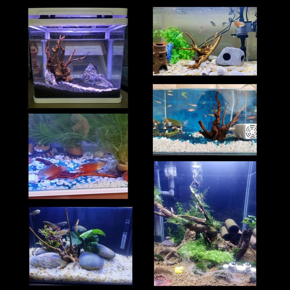 Bois flotté naturel de 20-25 c - Aquarium Driftwood avis et prix