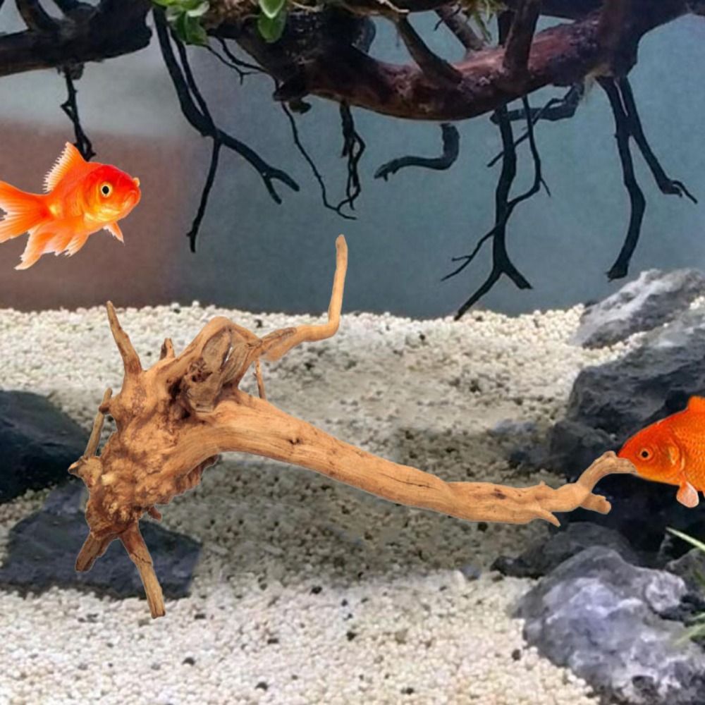 Bois flotté naturel de 20-25 c - Aquarium Driftwood avis et prix