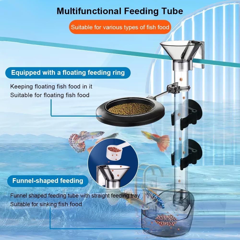 Ensemble de plats d'alimentati - Aquarium Fertilizer avis et prix