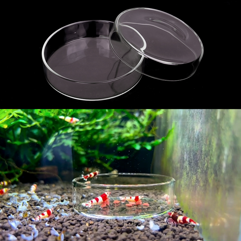 Plat d'alimentation pour creve - Aquarium Fertilizer avis et prix