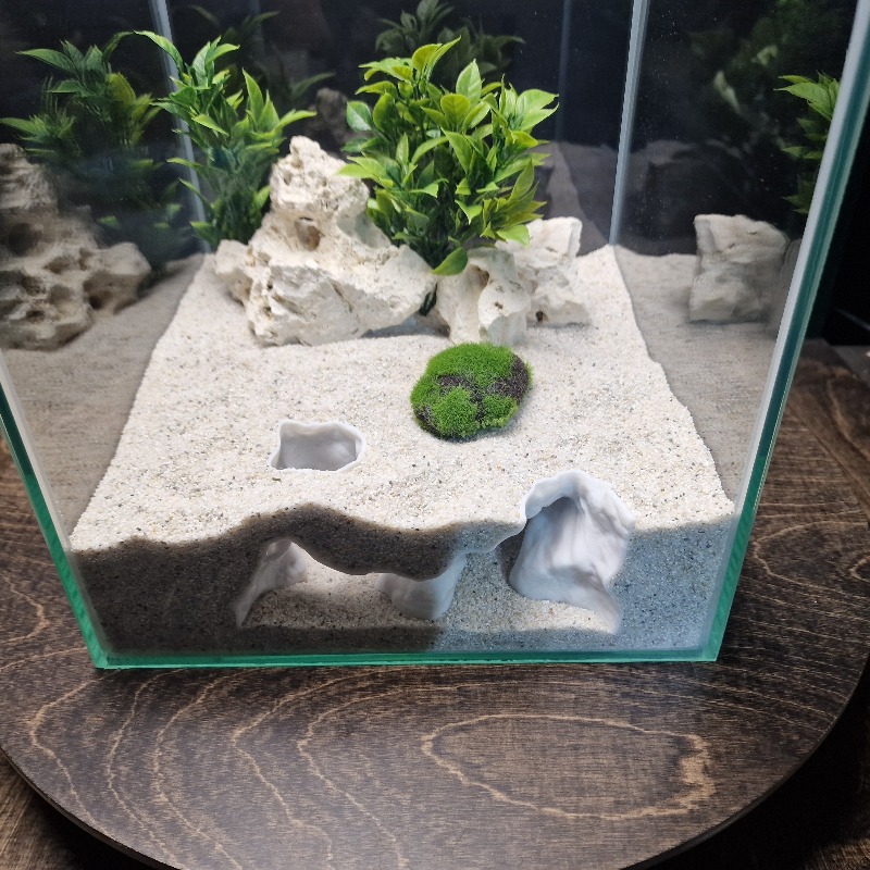 Décoration Premium pour Aquari - Aquarium Driftwood avis et prix