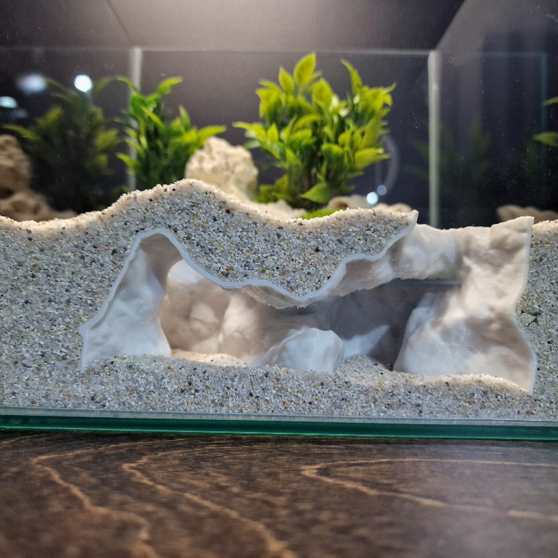Décoration Premium pour Aquari - Aquarium Driftwood avis et prix