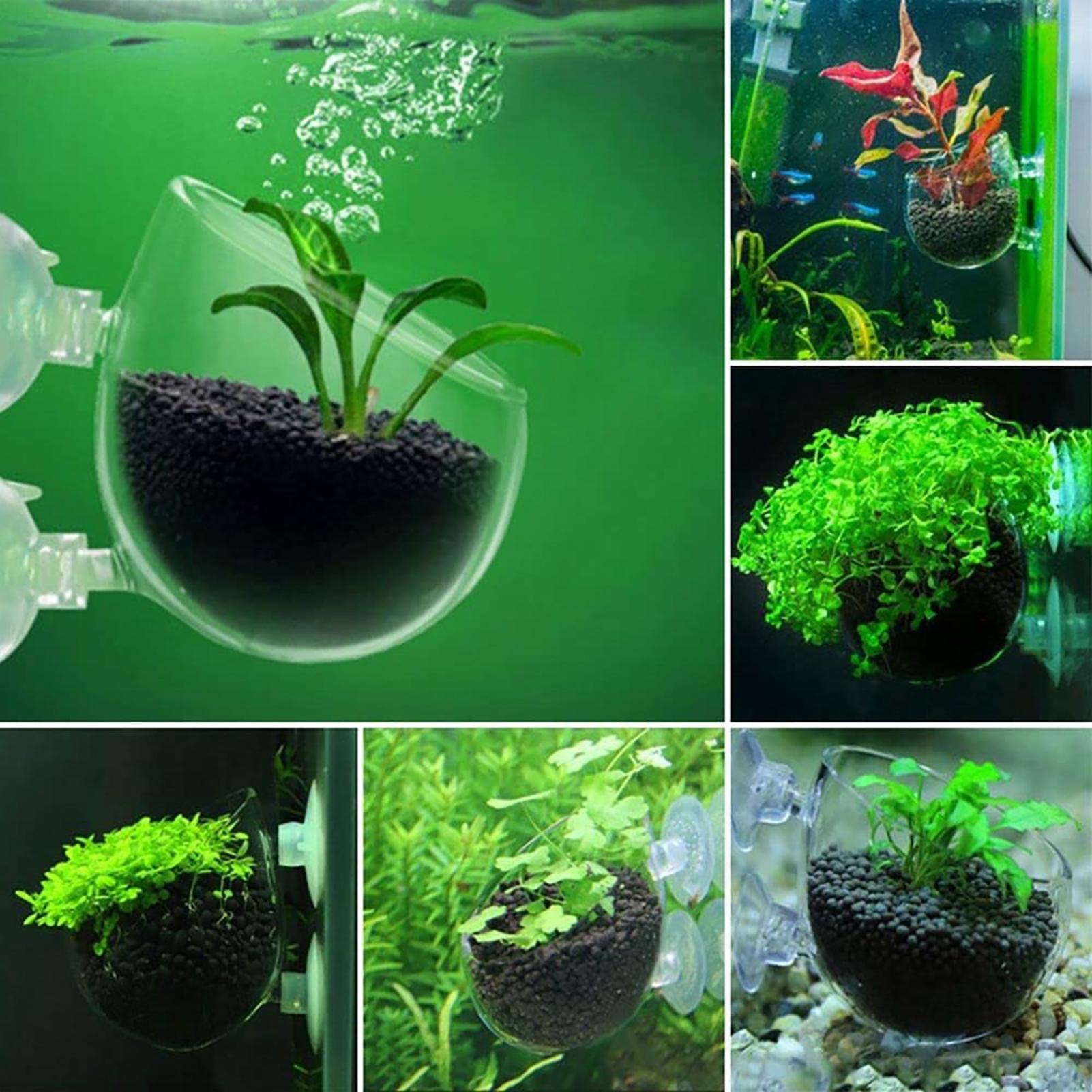 Pot pour plantes aquatiques en - Aquarium Plant Holder avis et prix