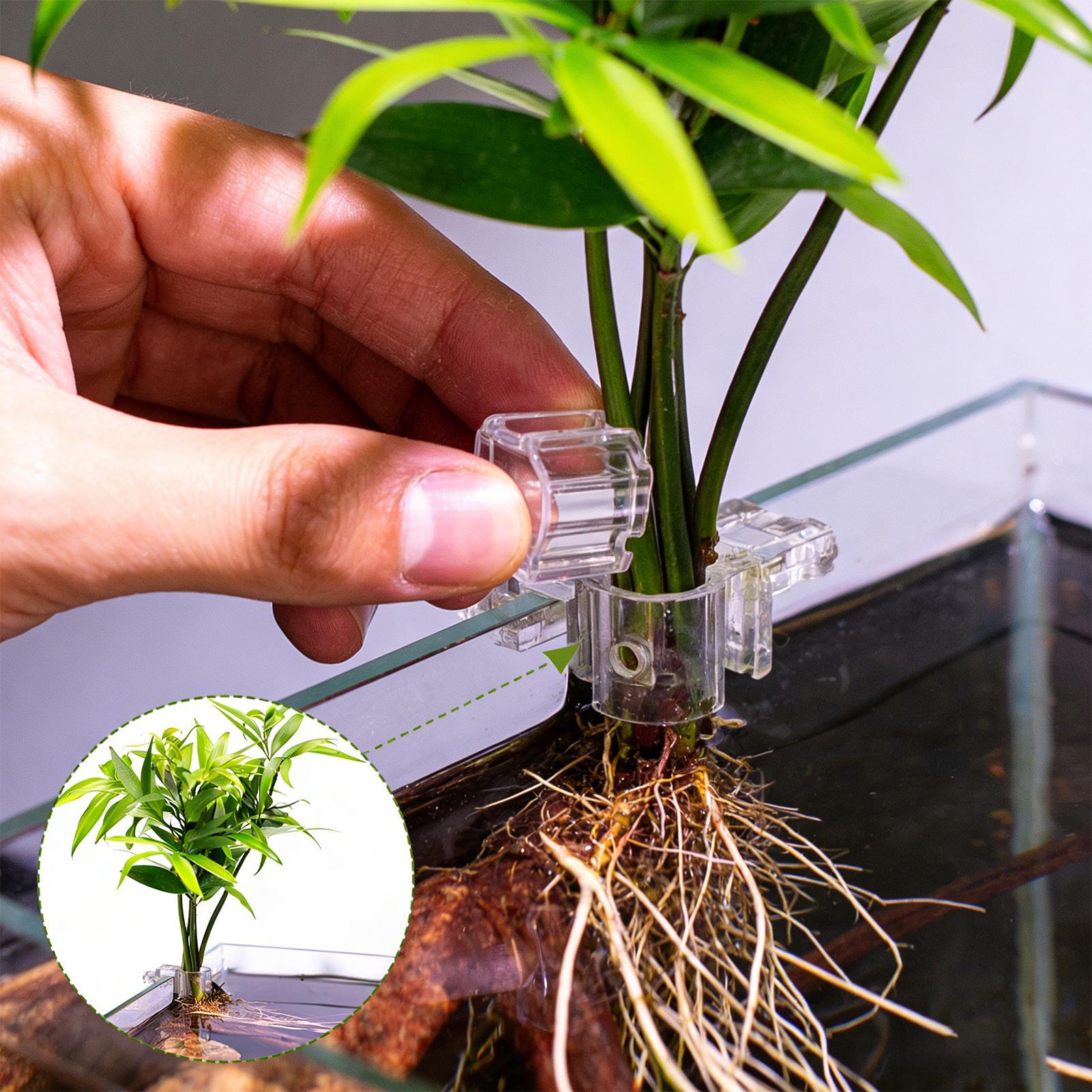 6 supports de plantes pour aqu - Aquarium Plant Holder avis et prix