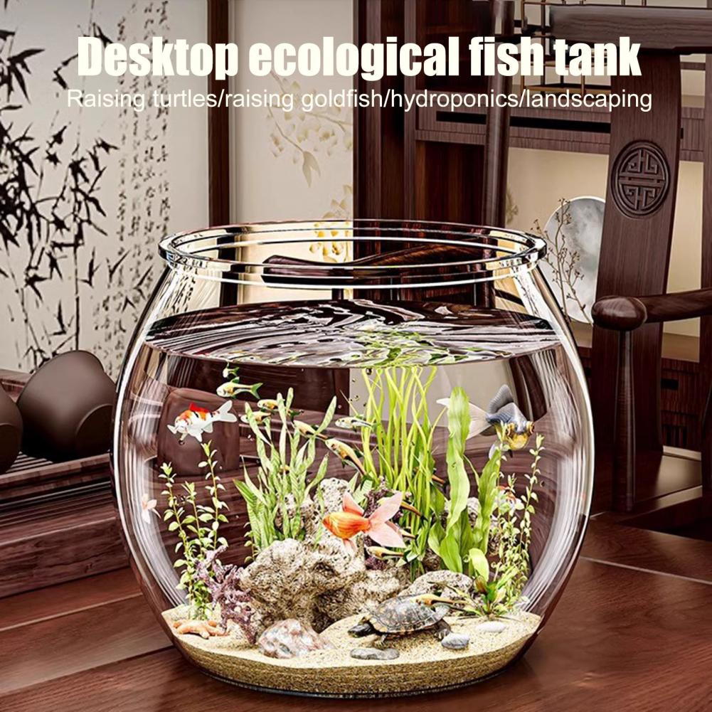 Bol à poisson rond en plastiqu - Plant Aquarium Pot avis et prix