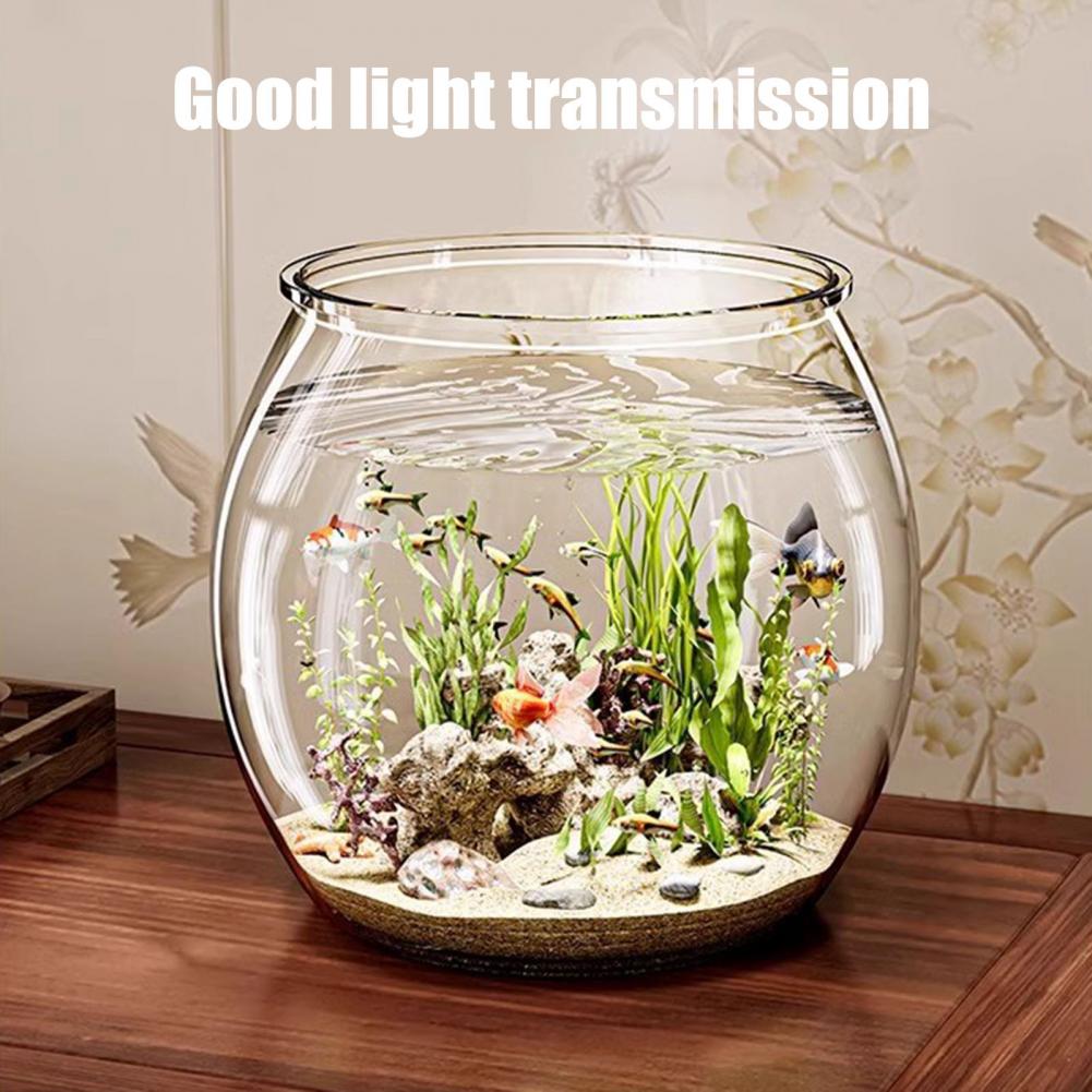Bol à poisson rond en plastiqu - Plant Aquarium Pot avis et prix
