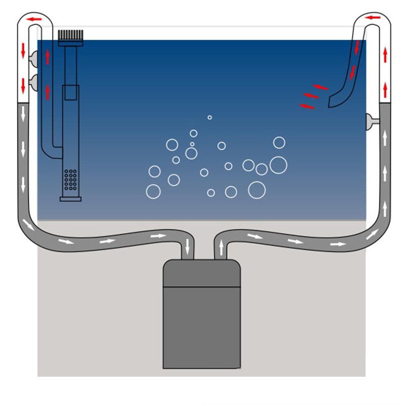 Tuyau de lys en acier inoxydab - Aquarium Planted Tank Filter avis et prix