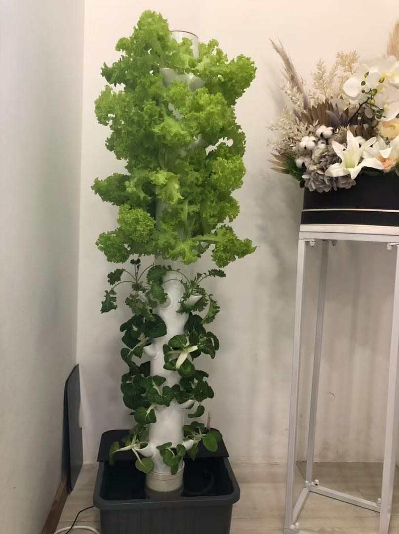 Tour de culture hydroponique v - Planted Tank avis et prix