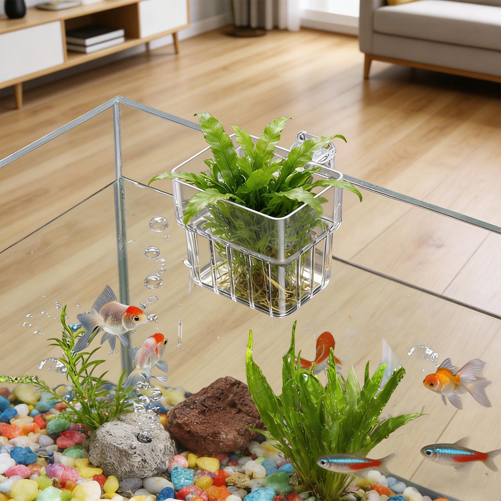 Support transparent suspendabl - Aquarium Plants Live avis et prix