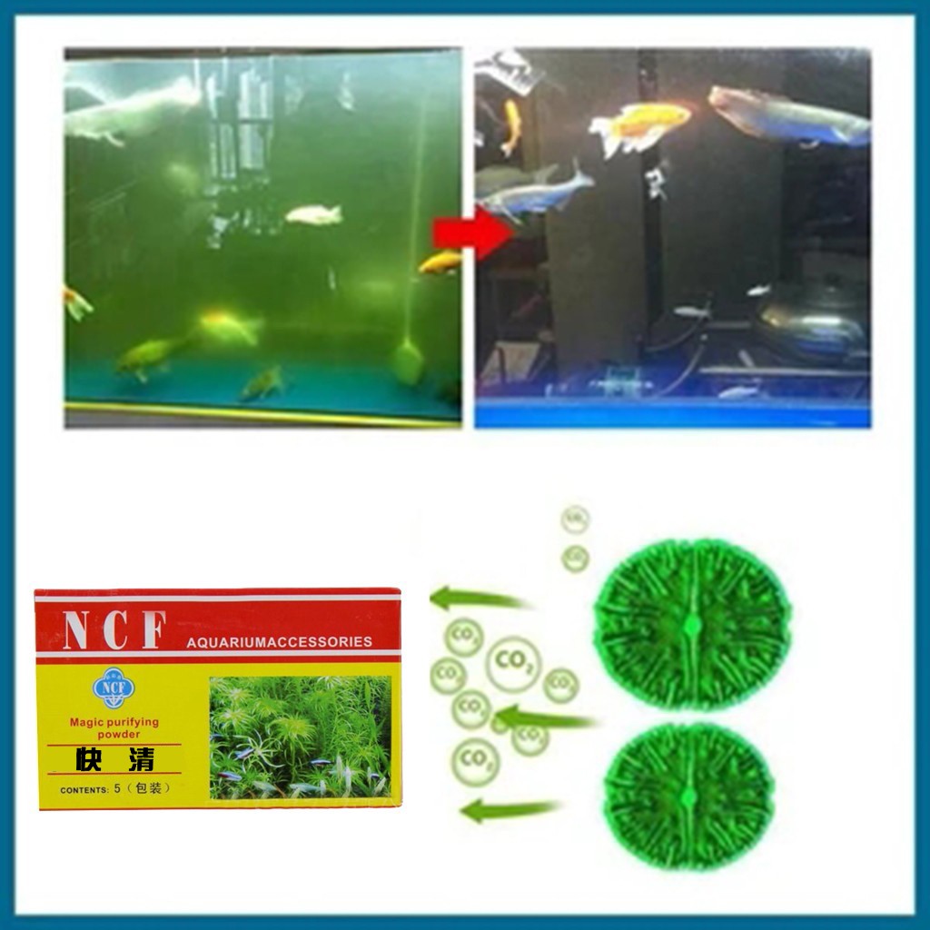 Poudre de purification d'eau d - Aquarium Moss avis et prix
