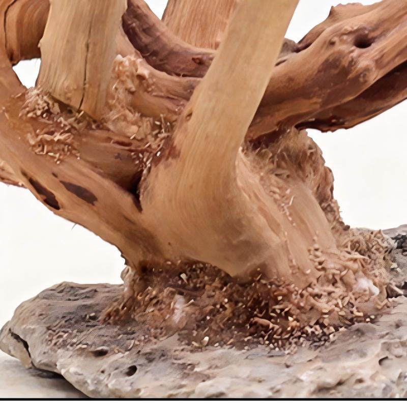 Ornements en bois pour aménage - Aquarium Driftwood avis et prix