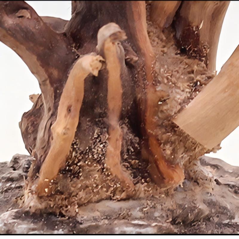 Ornements en bois pour aménage - Aquarium Driftwood avis et prix