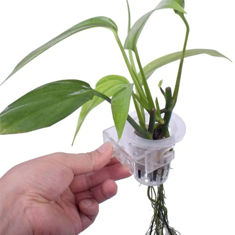 A7THK – Lot de 2 supports tran - Aquarium Plant Holder avis et prix