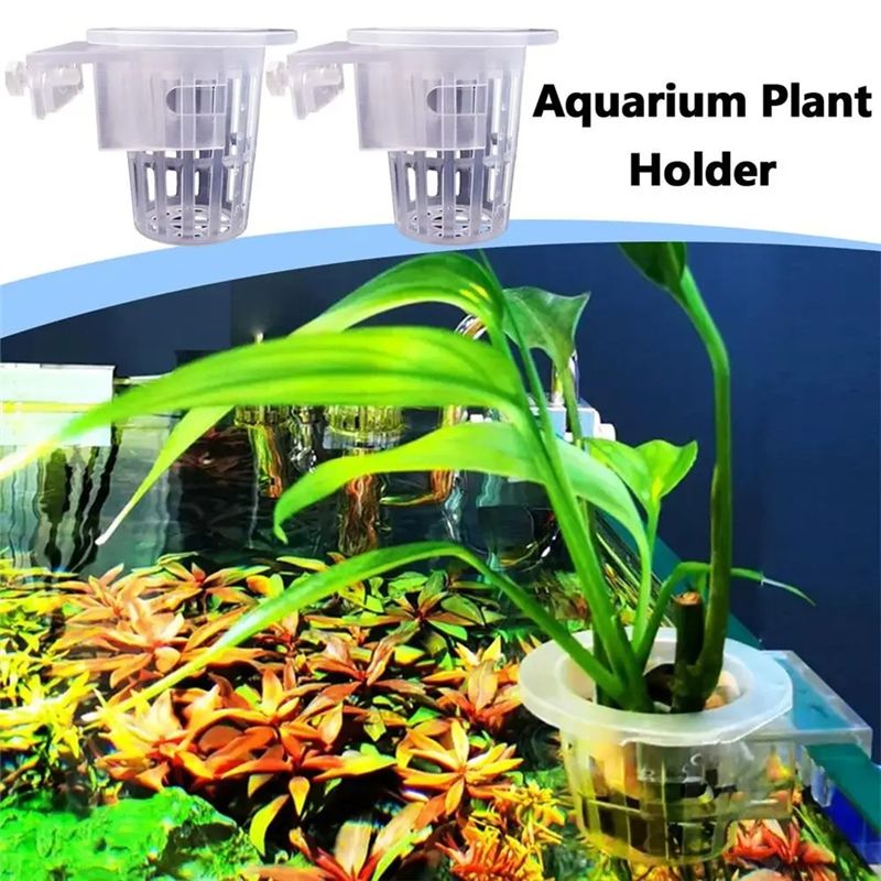 A7THK – Lot de 2 supports tran - Aquarium Plant Holder avis et prix