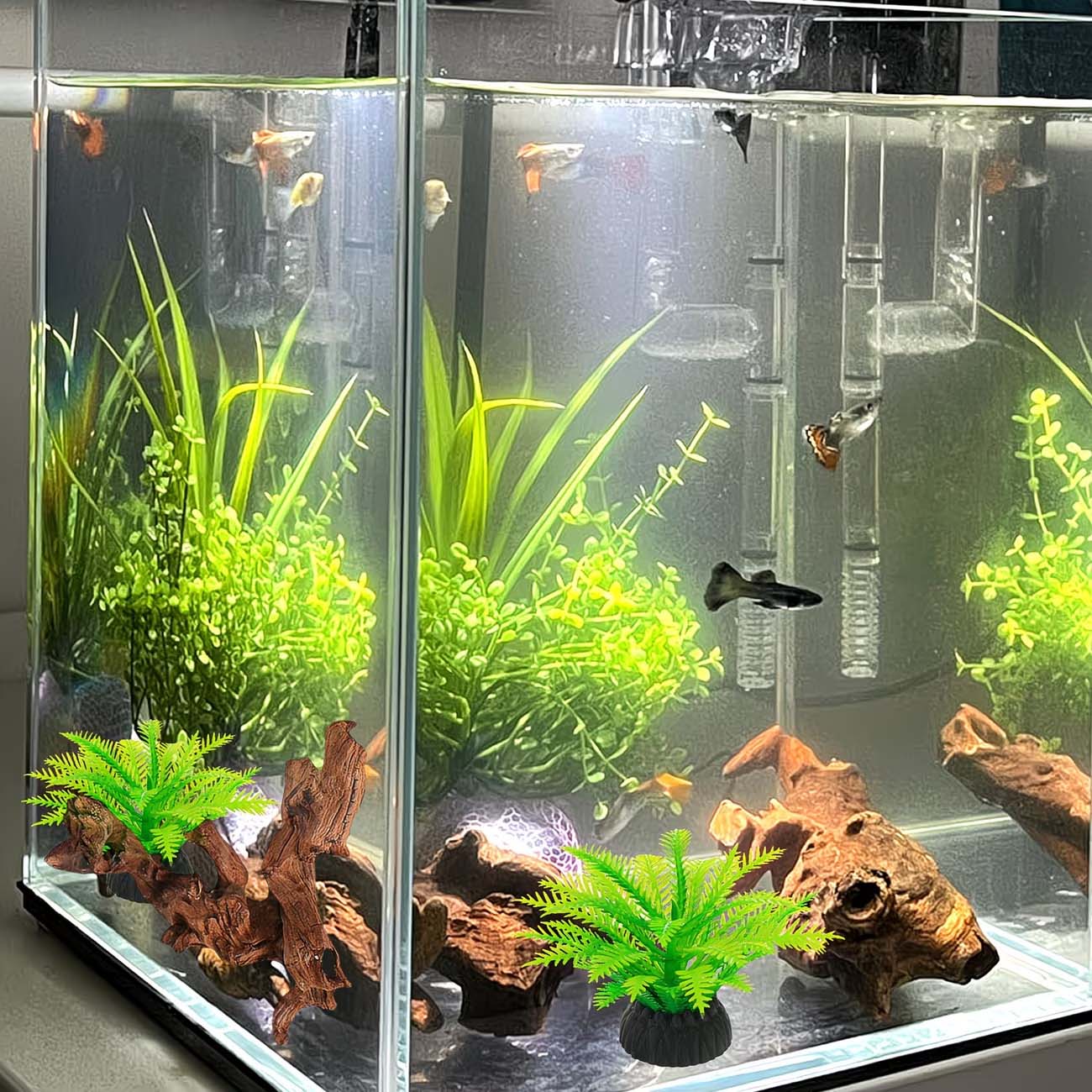 Bois flottant naturel de 5 à 1 - Aquarium Driftwood avis et prix