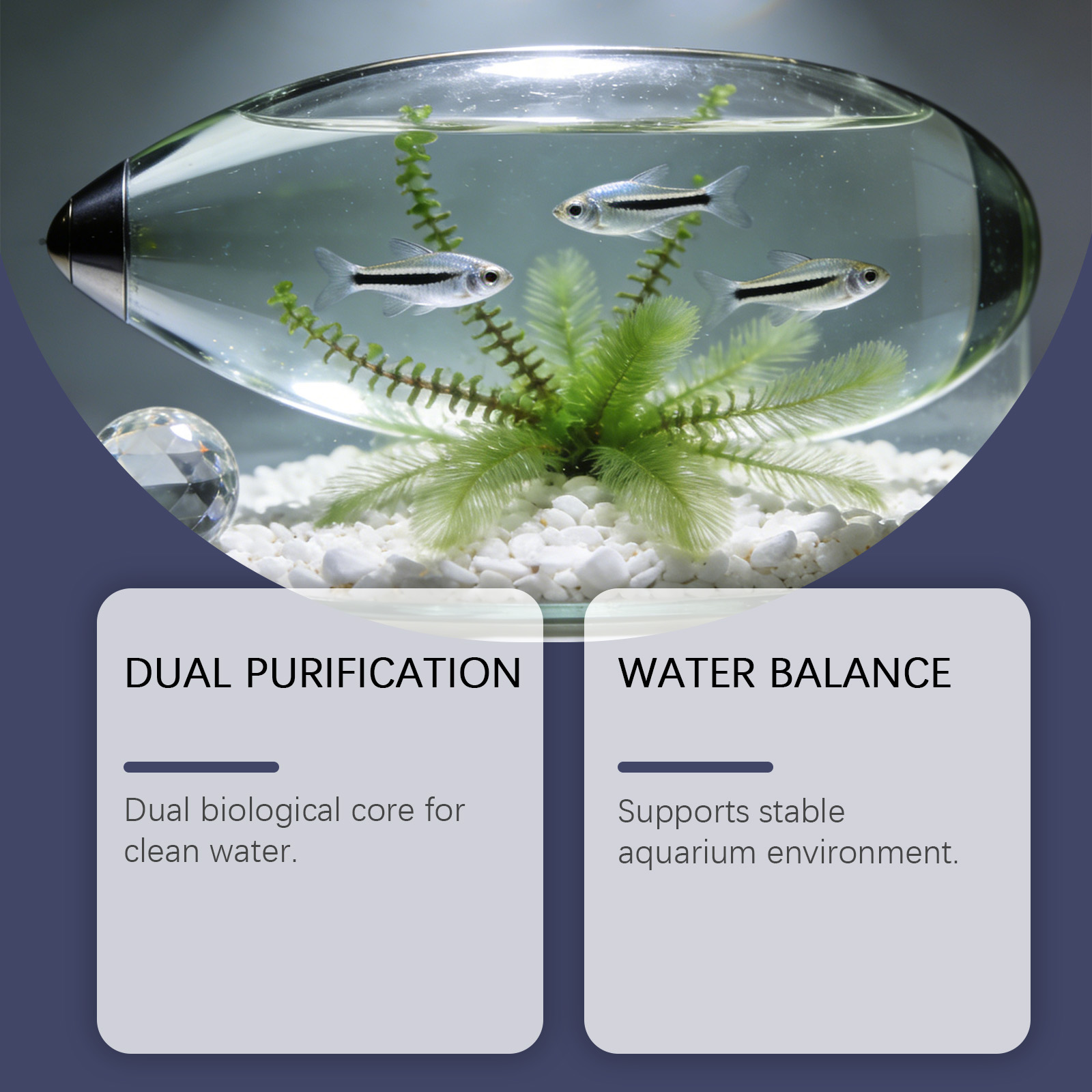 Comprimés anti-algues pour aqu - Planted Aquarium Algae Control avis et prix