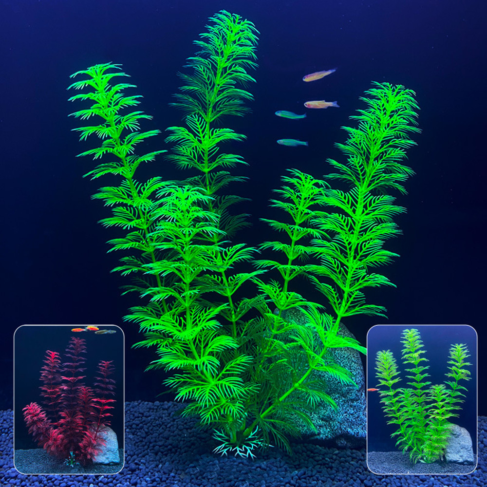 Plantes d'aquarium artificiell - Aquarium Plants Live avis et prix
