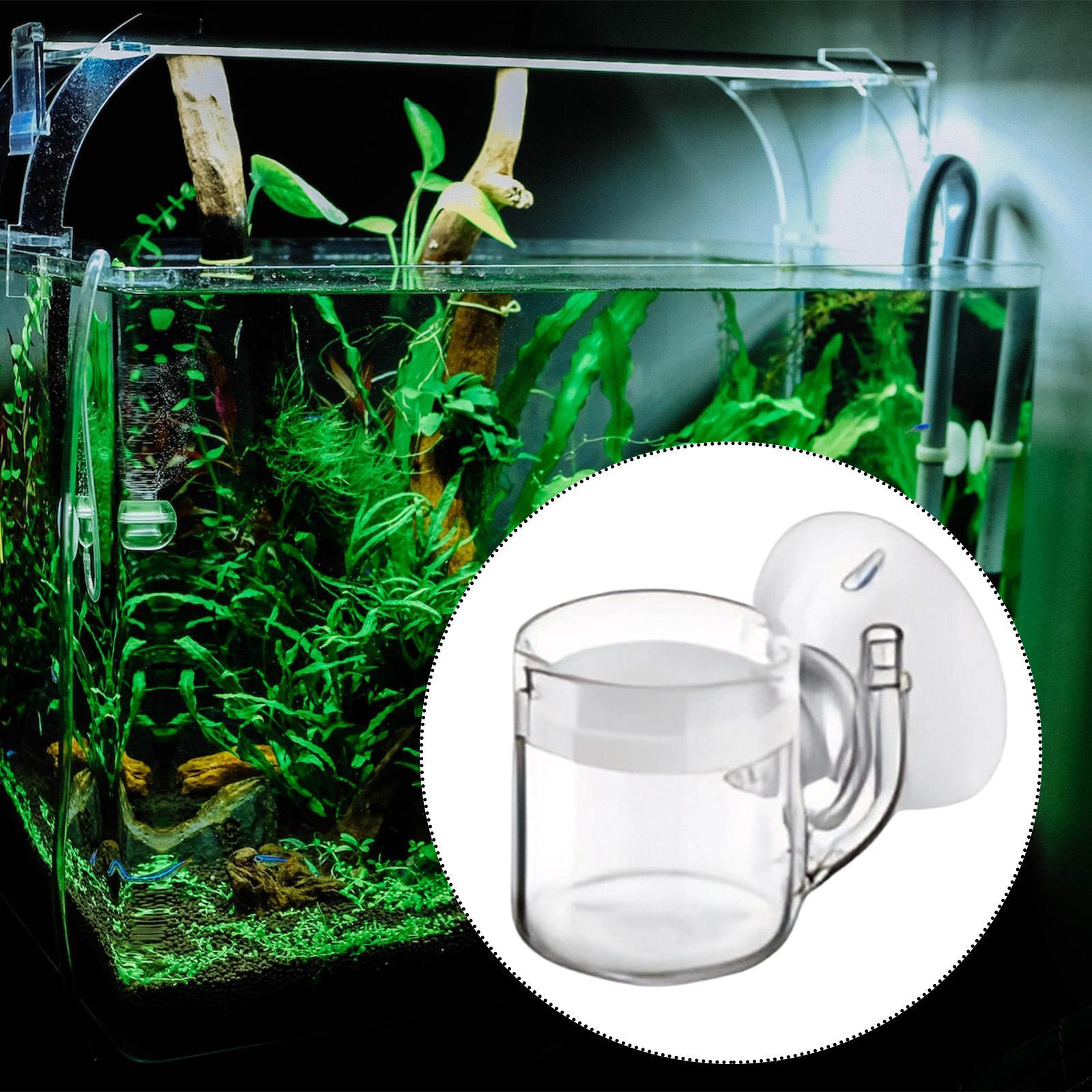 Diffuseur de CO2 à fond plat,  - Planted Aquarium Cleaning avis et prix