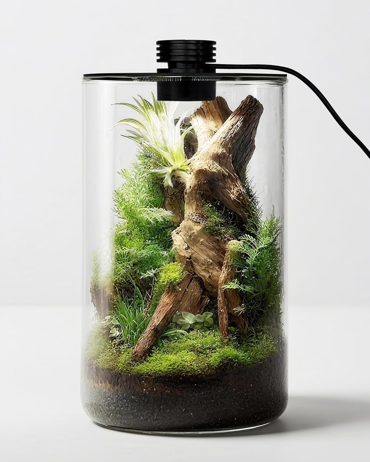 Terrarium en verre d'intérieur - Planted Tank avis et prix
