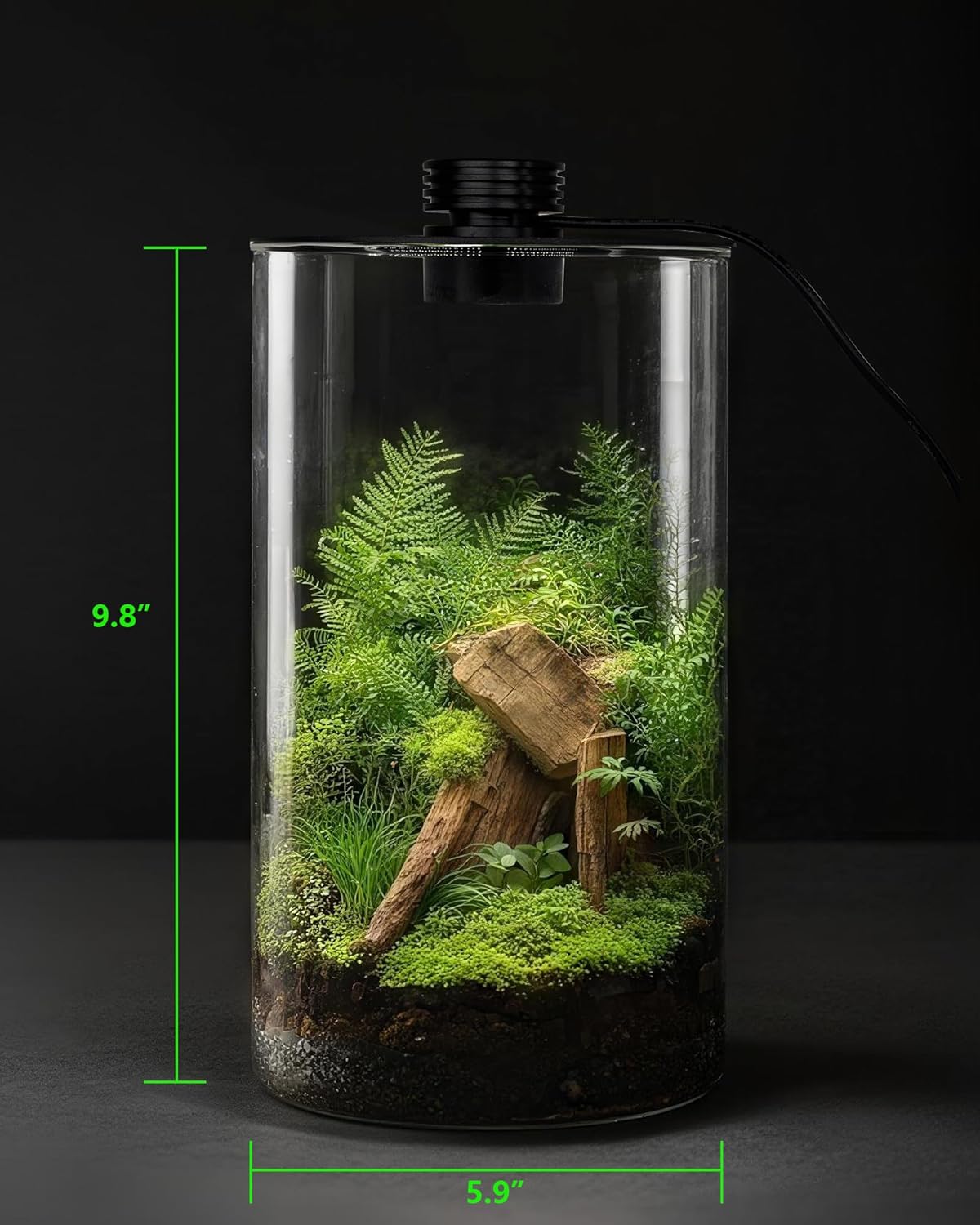 Terrarium en verre d'intérieur - Planted Tank avis et prix