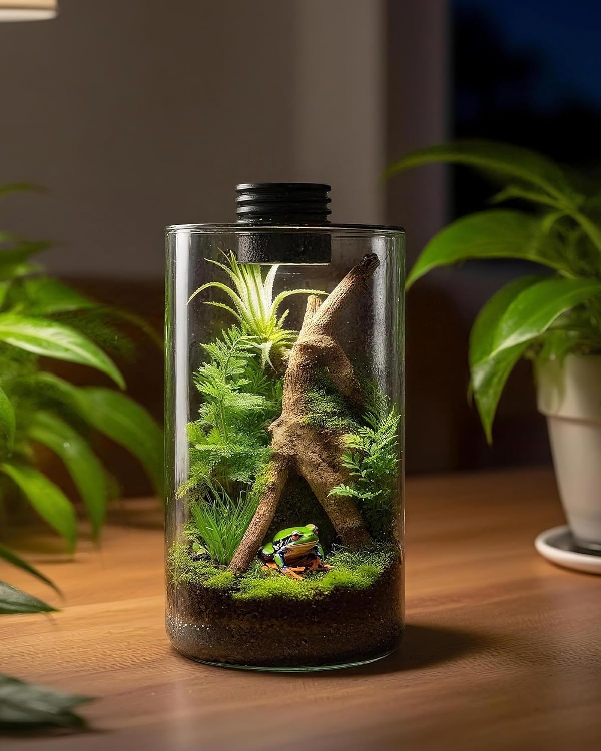 Terrarium en verre d'intérieur - Planted Tank avis et prix