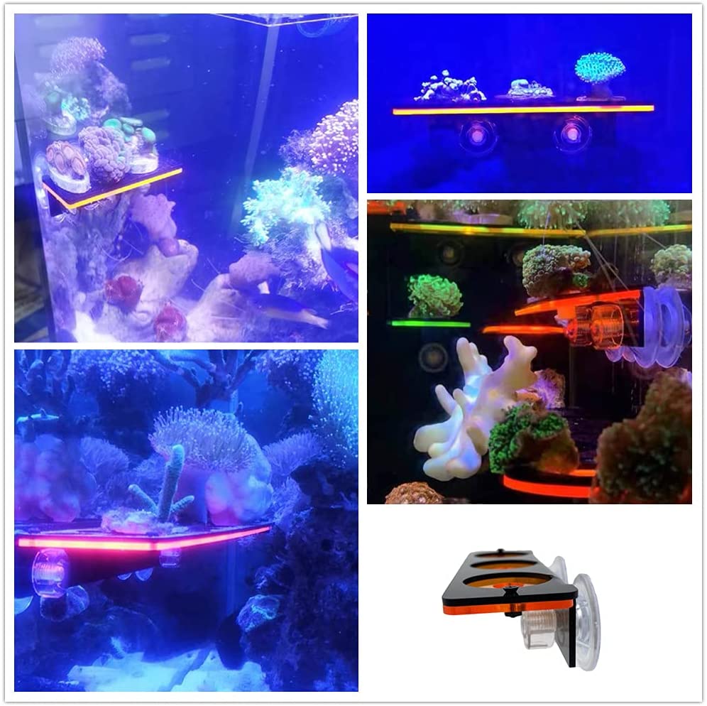 Support de prise Frag en corai - Aquarium Plant Holder avis et prix