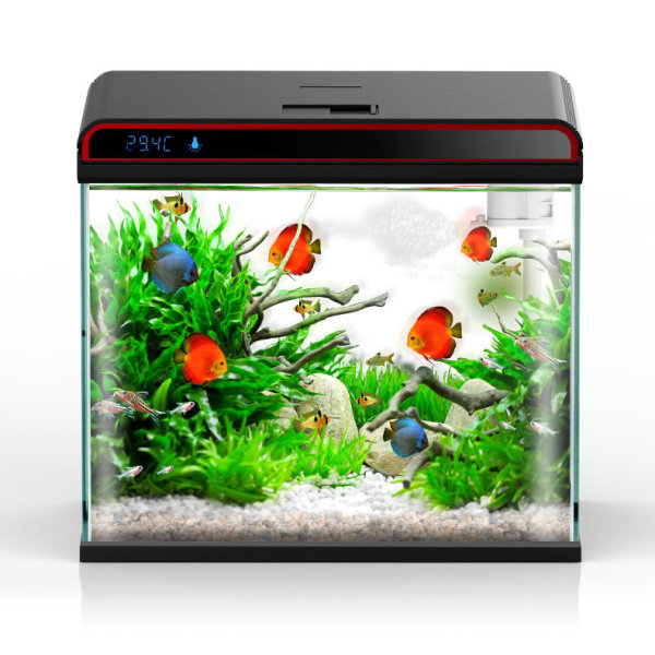 Sunsun – Climatiseur d'eau d'a - Planted Aquarium Algae Control avis et prix