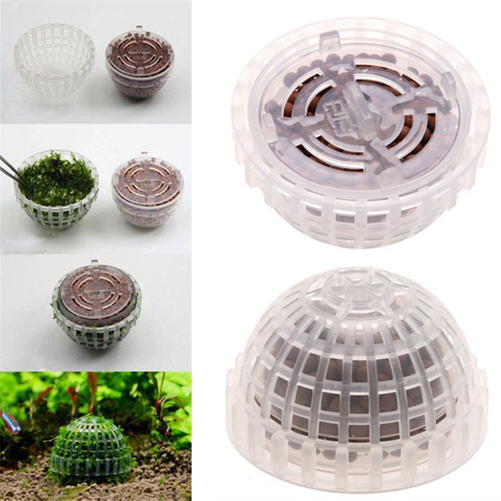 Nouveau Suspension en plastiqu - Aquarium Plants Live avis et prix