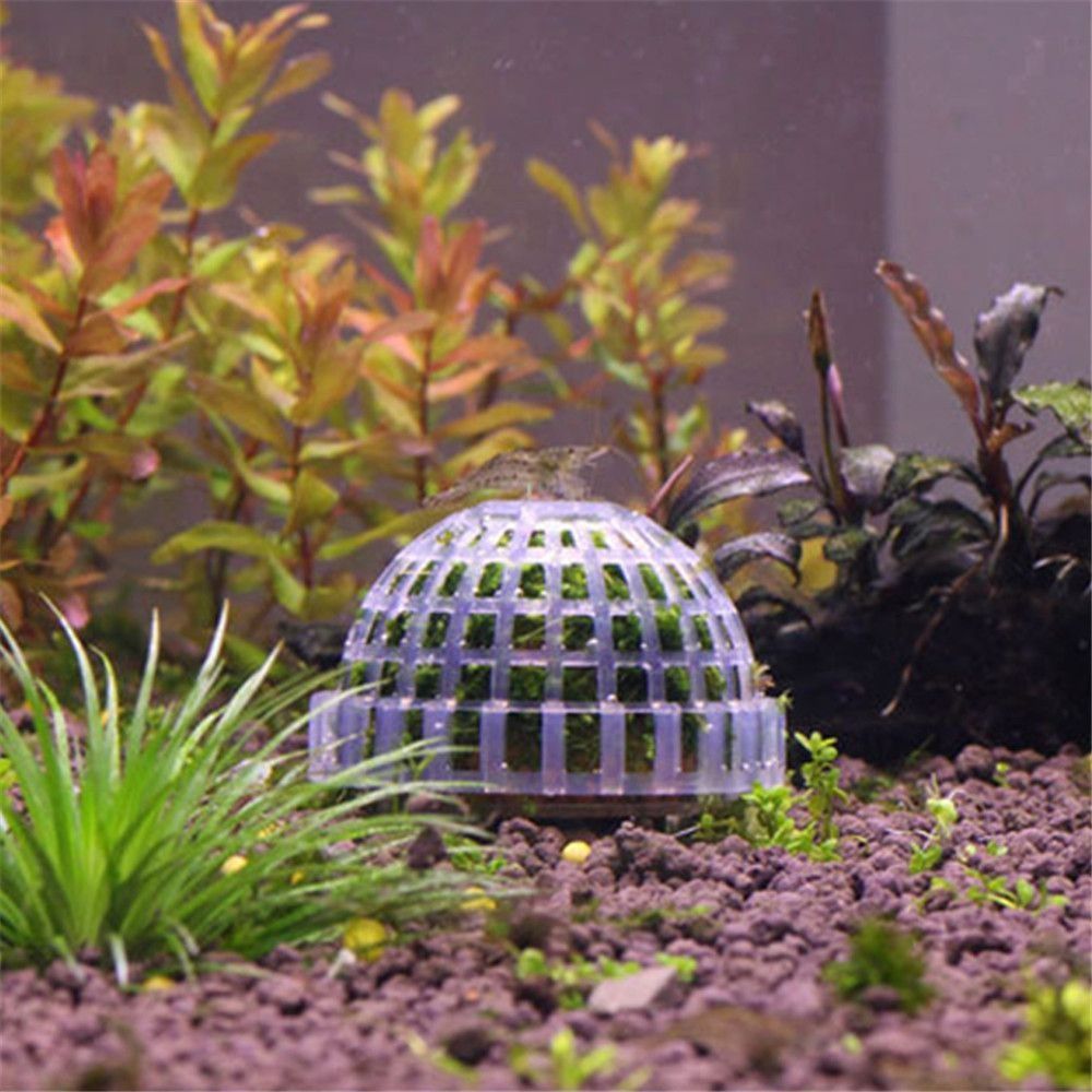 Nouveau Suspension en plastiqu - Aquarium Plants Live avis et prix