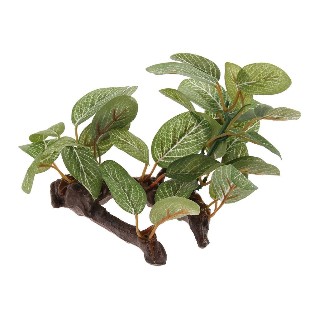 Plantes de terrarium pour rept - Plant Aquarium Pot avis et prix
