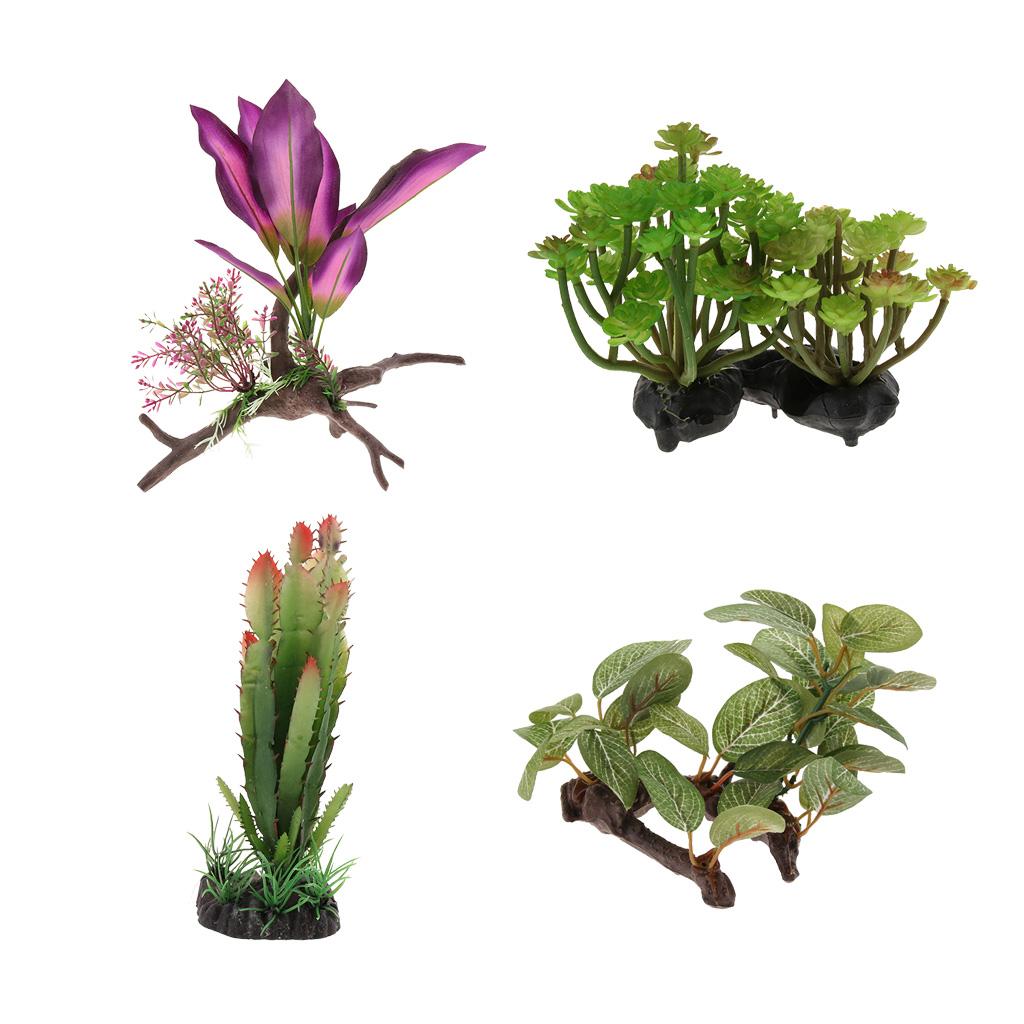 Plantes de terrarium pour rept - Plant Aquarium Pot avis et prix