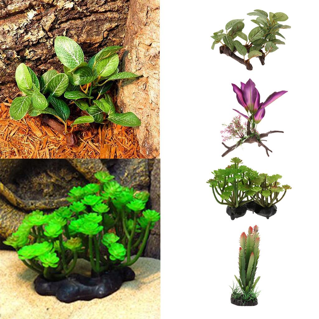 Plantes de terrarium pour rept - Plant Aquarium Pot avis et prix