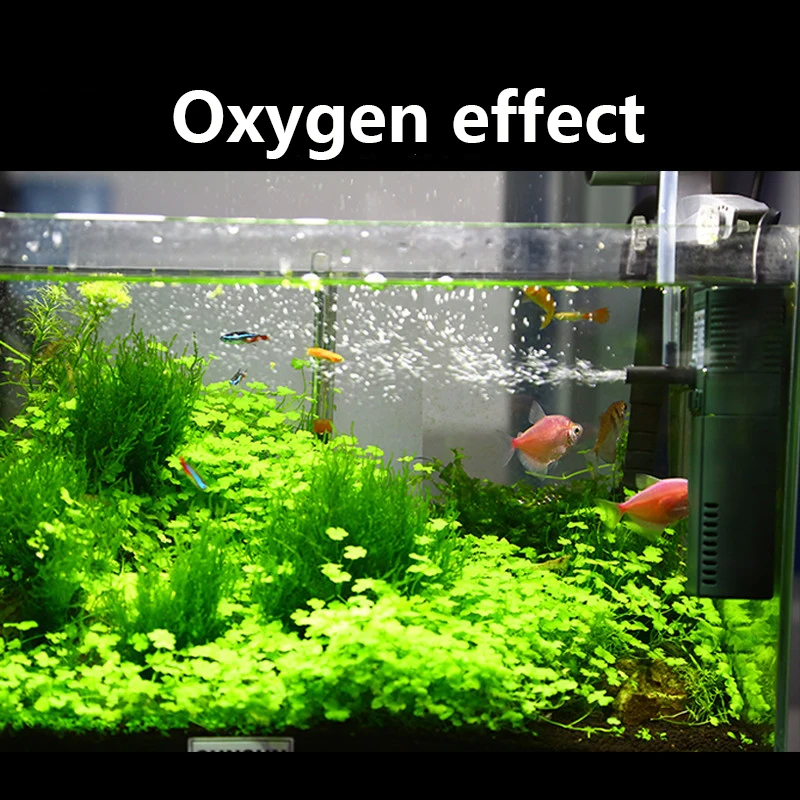 StalSUN mini nano 111B 311B 61 - Aquarium Planted Tank Filter avis et prix