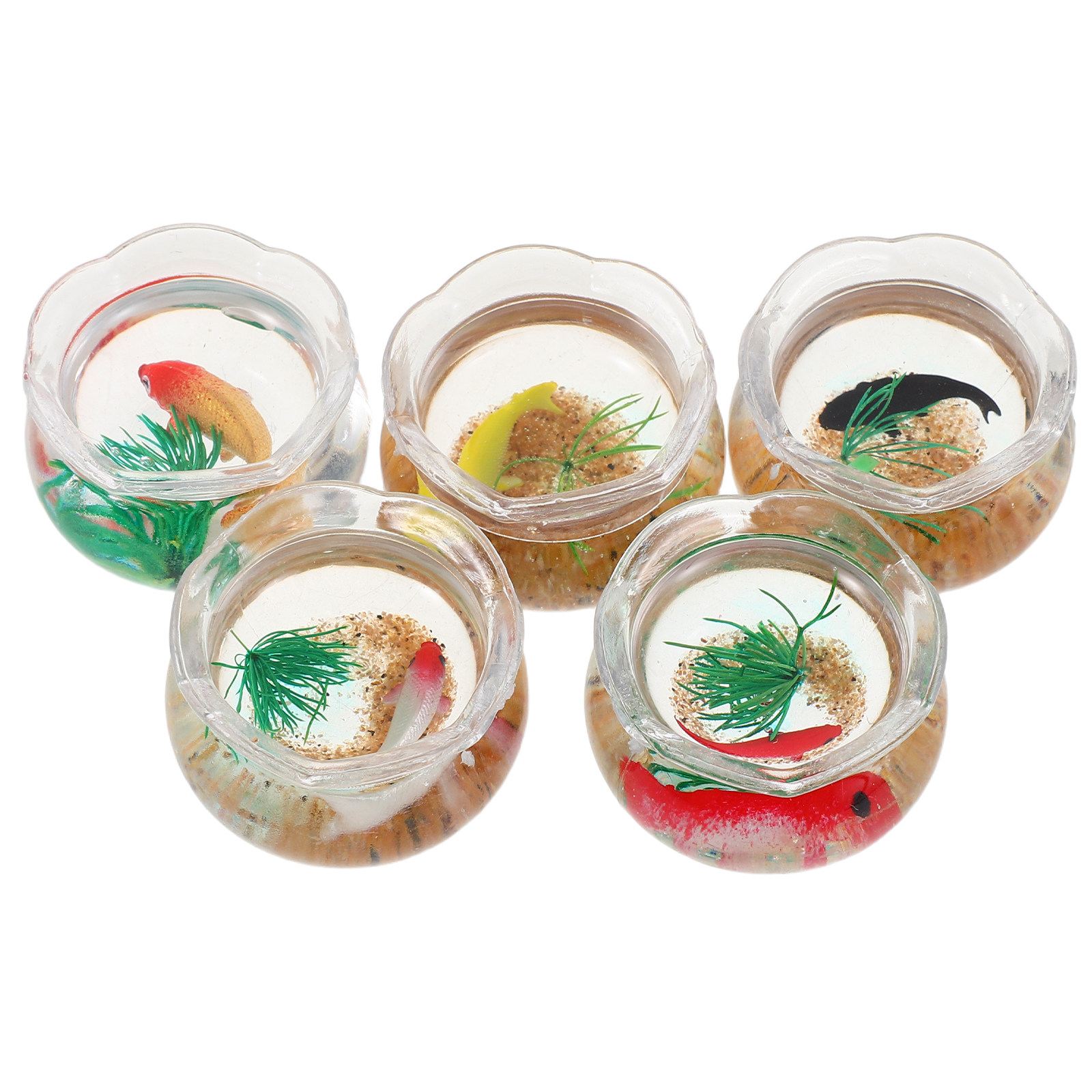 5 pièces, mini-bassin à poisso - Planted Tank avis et prix